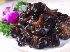 木耳-颜氏牛肉馆