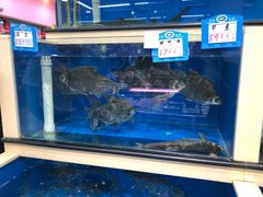 -鑫海韵通大卖场(石园店)