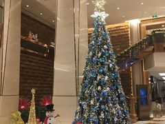 -西安赛瑞喜来登大酒店