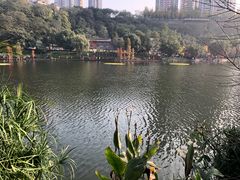 -重庆彩云湖湿地公园