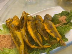 -西域美食兰州老马拉面(顺沙路辅路店)