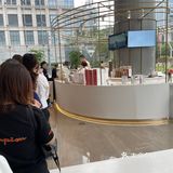 冲鸭！为了Manner X allbirds
