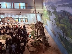 -自贡恐龙博物馆