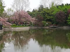 -嘉定紫藤园