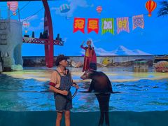 -三亚海昌梦幻海洋不夜城