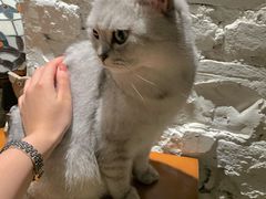 -不舍昼夜咖啡馆
