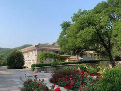 -北京鹫峰国家森林公园