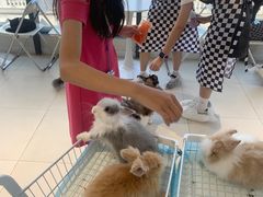 -怪兽屋·羊驼·猫咖·狗咖(俊华广场店)