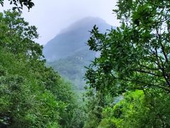 -阳台山自然风景区