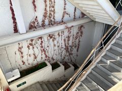 -無用生活空间(北京店)