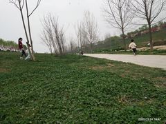 -洨河生态公园