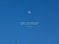 -上海山野camping·户外天幕烧烤·团建拓展营地