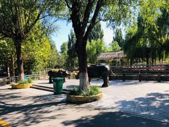 -辛玛王国游乐园