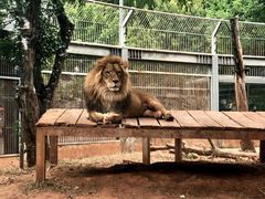 -昆明动物园