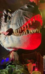 -恐龙探索乐园(磁器口店)