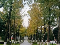 -重庆中央公园(渝北区)