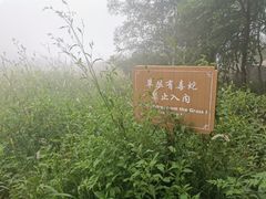 -白草畔自然风景区