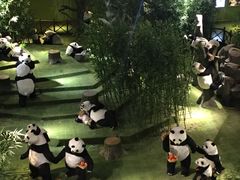 -成都泰迪熊博物馆