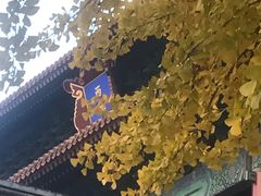 -东华门大街小区