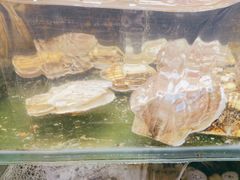 -瑞杰烧烤店·24小时营业(山东路店)