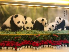 -成都驻京办餐厅(蜀都宾馆店)