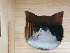 -云城照相馆(龙湖雨山天街店)