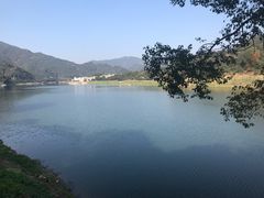 -新安江山水画廊风景区