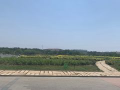 -廊坊文化艺术中心