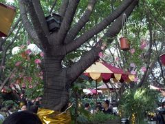 景观位-米兰臻选·花园餐厅(航空店)