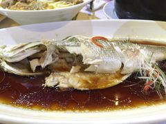-碧丽宫大酒店(召稼楼店)