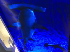 -老昆明网红小吃城(景星恒隆百货店)