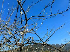 -广州市流溪河国家森林公园