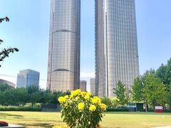 -大望京公园