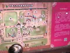 -北京呀路古热带植物园