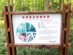 -上海怡沁园度假酒店