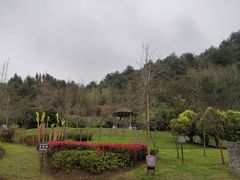-贵阳市花溪国家城市湿地公园