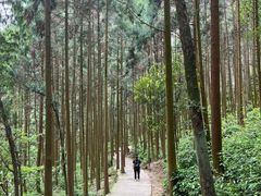 -雁荡山大龙湫景区