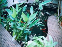 -新竹里馆·花园餐厅(兴苑路店)
