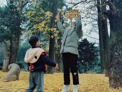 -华雅花园大酒店