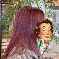 -T8 SALON