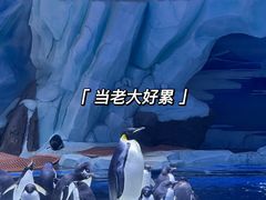 -上海海昌海洋公园