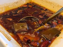 新派毛血旺-苏浙汇(朝外店)