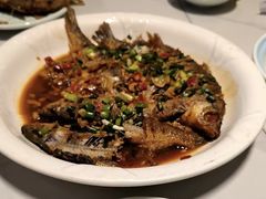 -全乐鱼馆·淳牌有机鱼直营店