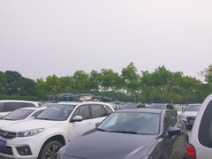 -野生动物园-停车场