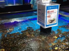 -盒马X会员店(王府井奥莱UP TOWN店)