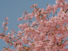 -上海辰山植物园