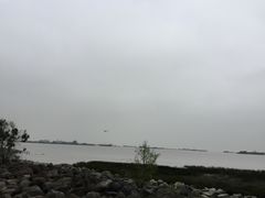 -吴淞炮台湾湿地森林公园烧烤区