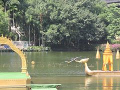 -西双版纳原始森林公园