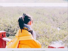 -北海金海湾红树林生态旅游区