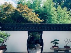 -上海醉白池公园